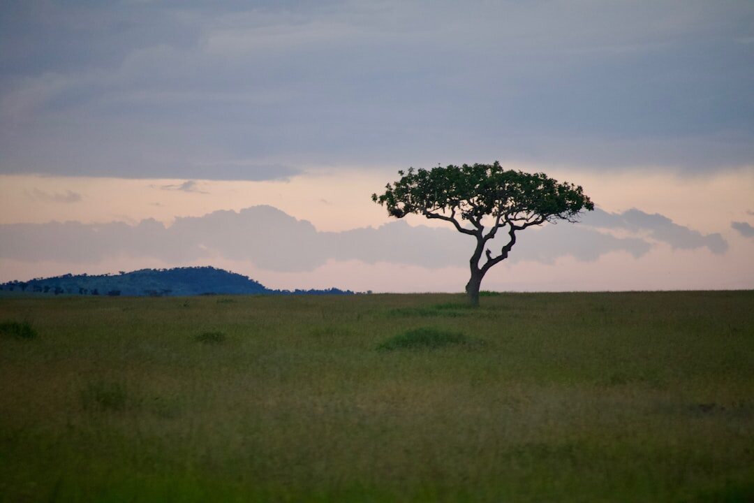 african entrepreneurial landscape