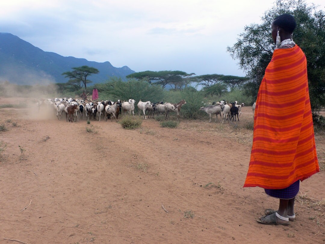 african farmer with livestock